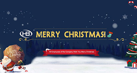 A Happy Christmas Celebration To All Our Employees And Esteemed Clients